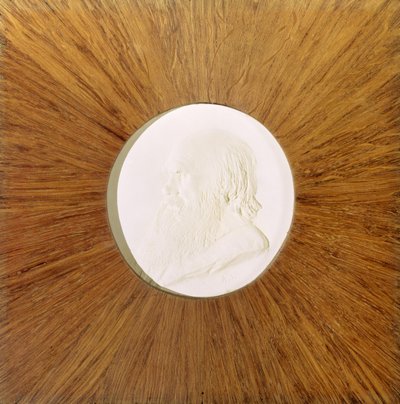 Charles Darwin, c.1881 by Alphonse Legros
